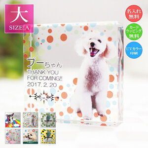 ybgʐ^ NX^KX L[u`ijybgpA ̂ЂTCY ʐ^  EFJLO AObY I[_[Ch a LO vo  L  