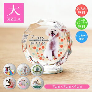 ybgʐ^ NX^KX ̂ЂTCYijybgpA ʐ^  EFJLO AObY I[_[Ch a LO vo  L  CR n