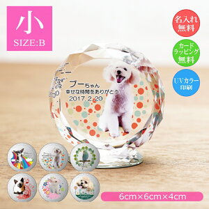 ybgʐ^ NX^KX ̂ЂTCYijybgpA ʐ^  EFJLO AObY I[_[Ch a LO vo  L  CR n