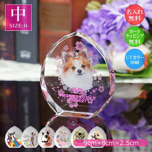 ybgpA ybgʐ^ NX^KX ^ijtHgX^h ʐ^  EFJLO AObY I[_[Ch a LO vo  L  C