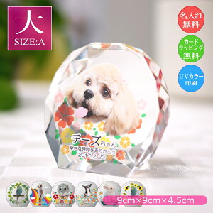 ybgʐ^ NX^KX Eh`ijybgpA ʐ^  EFJLO AObY I[_[Ch a LO vo  L  CR nX^