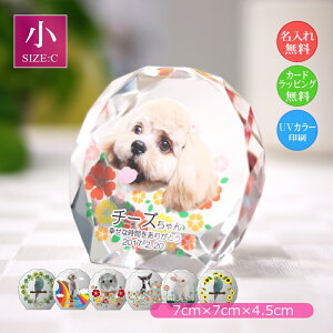 ybgʐ^ NX^KX Eh`ijybgpA ʐ^  EFJLO AObY I[_[Ch a LO vo  L  CR nX^