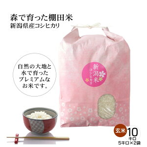 V ߘa7NY VăRVqJ  10Li5kg×2܁jVYЂ Xň Ic v~A VY Yn jAMtgA AƒAٓɂ V