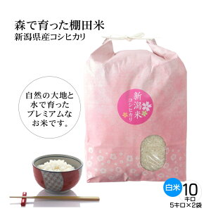 V ߘa7NY VăRVqJ āiāj 10Li5kg×2܁jVYЂ Xň Ic v~A VY Yn jAMtgA AƒAٓ