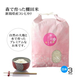 新米 令和7年産 新潟米コシヒカリ 白米（精米） 3キロ 新潟産こしひかり 森で育ったお米 棚田米 プレミアム米 新潟産 産地直送 お祝い、ギフト、贈答に ご自宅、ご家庭、お弁当にも