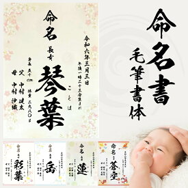 命名書 さくら 毛筆 名入れ 命名紙 手書き風 代筆 生年月日 出生時刻 続柄 身長体重 両親のお名前 A4サイズ ラミネート オーダー お祝い 男の子 女の子 記念 出産 ベビー 赤ちゃん 新生児 名付け祝い お七夜 孫 人気 プレゼント 出産祝い