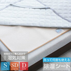 除湿シート 洗える シングル セミダブル ダブル 90×180cm 110×180cm 130×180cm 吸湿 除湿マット 結露防止 調湿 シリカゲル 布団 ベッド レギュラータイプ プレミアムタイプ 湿気取り 湿気対策 結露対策 22B001