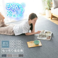 【楽天スーパーSALE割引商品】 ラグ 冷感ラグ 低反発 1.5畳 2畳 3畳 130×190 190×190 190×240 ひんや…