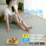 ラグ 洗える 厚手 1.5畳 2畳 3畳 夏用ラグ クールラグ ひんやり 夏用 接触冷感 涼しい カーペット 遮音 …