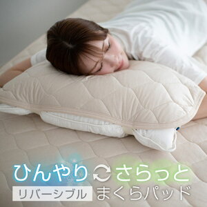 pbh 43×63cm ⊴ Ђ  ^In o[Vu 2g ɗ⊴ z RۖhL h_j 􂦂  ėp ⊴}bg V[c ܂pbh pbh ܂Jo[ Jo[ 2Z