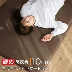 }bgX pC  O܂ 10cm VO E^ 3܂ ܂肽 ~zc ~zc 􂦂 xbh d  20A005