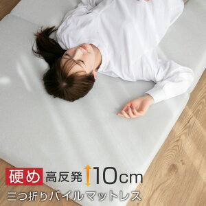 }bgX pC  O܂ 10cm VO E^ 3܂ ܂肽 ~zc ~zc 􂦂 xbh d  20A005