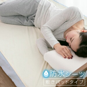 hV[c ˂V[c n[t VO 70×120cm 100×205cm  ybgV[c 100 lp qp ~pbh pi xr[ Ԃ ybg Q ql  xr[xbh 20a026