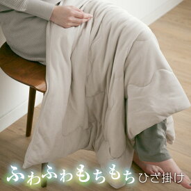 ブランケット ひざかけ もちもち ハーフケット 膝掛け ひざ掛け 70×100 100×140 マイクロファイバー 毛布 リビング 在宅ワーク 22A012