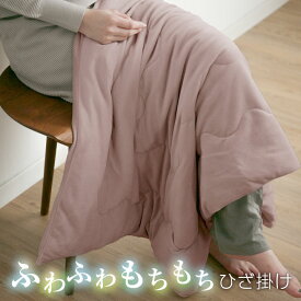 ブランケット ひざかけ もちもち ハーフケット 膝掛け ひざ掛け 70×100 100×140 マイクロファイバー 毛布 リビング 在宅ワーク 22A012
