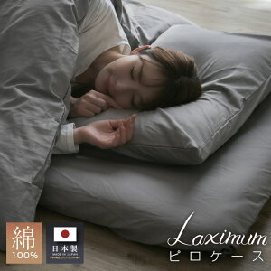 Jo[ ^b`s 100 { Te E^Ή 35×50cm 43×63cm Y  Laximum Jo[ pbh sP[X VRf zc zcJo[ VRf 23J010