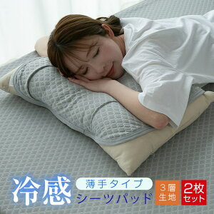 ���p�b�h ���J�o�[ 2���Z�b�g �ėp �⊴ �ڐG�⊴ �Ђ��� 3�w�\�� ����^�C�v ���炩�� �E���ȒP�S���t�� 45×55cm �y�� ���� �܂���p�b�h ���p�b�g �z�c �x�b�h 1000�~�|�b�L�� 23J028