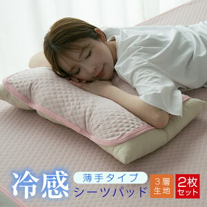 ���p�b�h ���J�o�[ 2���Z�b�g �ėp �⊴ �ڐG�⊴ �Ђ��� 3�w�\�� ����^�C�v ���炩�� �E���ȒP�S���t�� 45×55cm �y�� ���� �܂���p�b�h ���p�b�g �z�c �x�b�h 1000�~�|�b�L�� 23J028