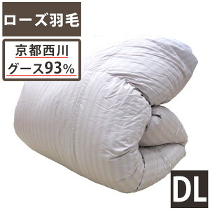 y[YHсzs Hѕzc _u VAYzCgO[X93 ^O[X cCLg 1.7kg DP410  [YH wLg _uO  O[X Ten { Jo[