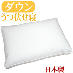 yz_Es[ 43×63cm Xg}bNX[p[@/Tg/{/_E50/H/{[/ze܂/ӂ/100/Te/tFU[/ӂӂ/H/Hі/sale/Z[