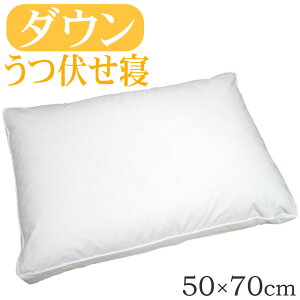 yz_Es[ 50×70cm Xg}bNX[p[@/Tg/{/_E50/H/{[/ze܂/ӂ/100/Te/tFU[/ӂӂ/H/Hі/sale/Z[