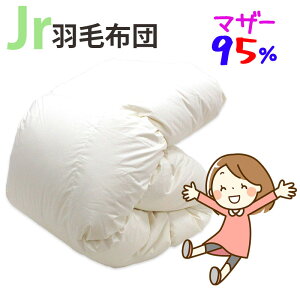 WjAp Hѕzc |[hY}U[O[X95% 0.8kg 1.0kg 140×190cm VOV[g RpNgTCY WjATCY DP440ȏ Z~VO ɂ WjAzc q LbY 