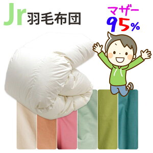 Jo[tIWjAp Hѕzc |[hY}U[O[X95% 0.8kg 1.0kg 140×190cm VOV[g RpNgTCY WjATCY DP440ȏ Z~VO ɂ WjAzc q