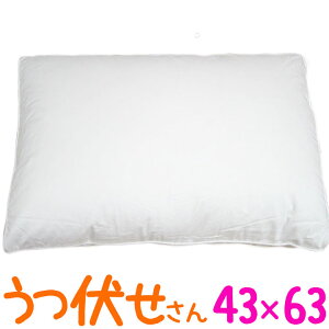{  _Es[ Xg}bNX[p[ 43×63cm//Tg//_E50/H/{[/ze܂/ӂ/100/Te//sale/Z[