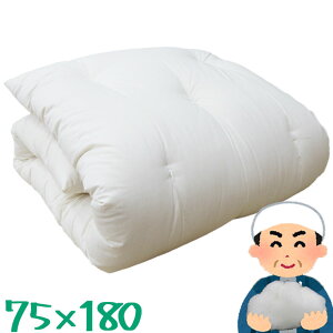  QӂƂ 75×180cm/킽/ʂEl̂킽/Q}bg/Qp/킽/{[/ӂ/`/zc/Ȃ킽/azc/TCY//QӂƂ