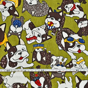 QzcJo[ Dς { 100% IׂTCY QӂƂJo[ t@Xi[^Cv ۈ牀 ct xr[zc Z~I[_[ 1 ib VW