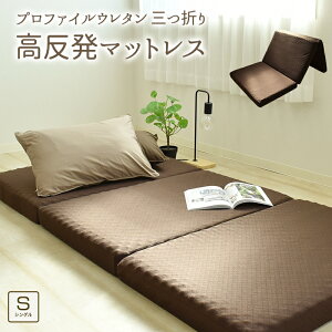 ݌Ɍ聚 }bgX 3܂ ~zc ݖ9cm VOTCY xbh}bgX O܂ ܂肽݃}bgX  ~zc vt@CE^ 160N d ̈U 