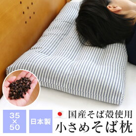 小さめ 除湿そば枕 35×50cm ひんやり そばまくら 国産そば殻使用 日本製 冷感 まくら 熱中症対策