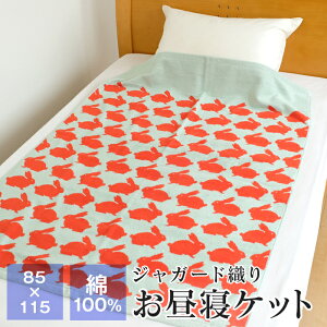 ^IPbg QPbg 85×115cm 100 WJ[hD q xr[ ǂ ct ۈ牀 ėp AmbN rbc