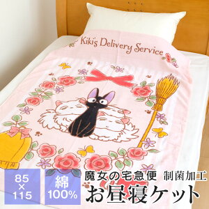 y|Cg5{z^IPbg QPbg ̑} WW Wu 85×115 100 ۉH LbY WjA oX^I rbO^I ėp ǂ ct ۈ牀 q