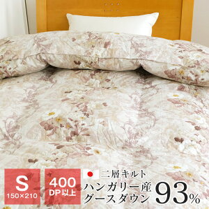 wLg Hѕzc VO g 400dp nK[YO[X93 n100 { |zc { NX