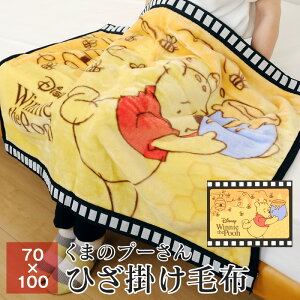 ܂̃v[ Ђ| ѕz 70×100cm uPbg |  rW[r[
