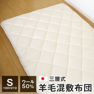 Ow ~zc VO 100×210cm E[50 { rэ~zc DS402 ^z