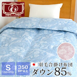 Hэ|zc VO 350dp zCg_bN85 0.6kg GNZS[h 150×210cm g { H |zc _EPbg TTC R24493