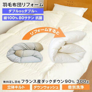 Hѕzc tH[ ł _uTCY1 190×210cm [sA_E90 ̃Lg 100 80Te RۉH ʐ H300g ^z
