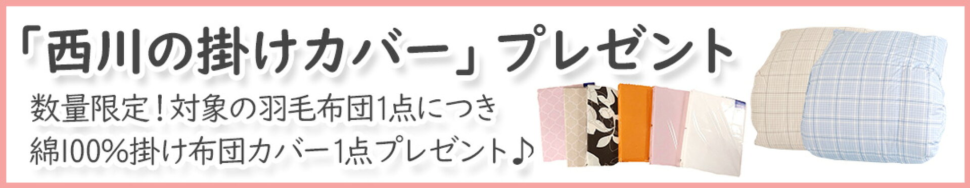 掛カバープレゼント