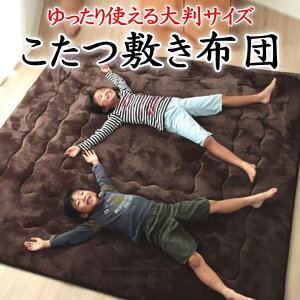 唻TCY ~zc@220×220cm@y֘A[h VLzc R^c~zc R^cVL }CNt@Co[~zc ӂƂ xӂƂ  x n _ k  C