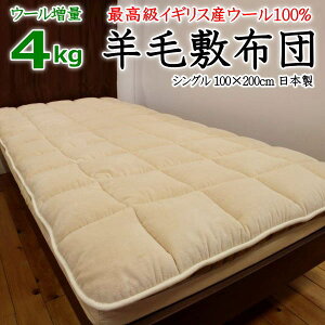 4kg rѕ~zcVO 100×200cm@CMXE[4kg@{@y֘A[h rѕzc E[zc E[~pbh E[xbhpbh rтӂƂ E[pbh prс@E[