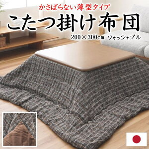 |zc@200×300cm@EHbVu@{@y֘A[h ` l ܎ 唻 g  Ch NVJ `FbN 􉽊w ȃXy[X | y y  mg[ N[