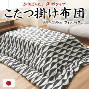 |zc@200×250cm@EHbVu@{@y֘A[h ` 4 5 唻 g  Ch n c[g [u 􉽊w ȃXy[X | y y  mg[ N[ 