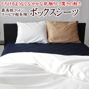 X[s} {bNXV[cNC[TCY@{TCYI[_[\y֘A[h Q Q NC[TCY{bNXV[c 100% Te xbhV[c xbhJo[ TCYI[_[ 