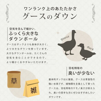 東京西川羽毛布団西川シングルシルバーグースダウン93%1.2kg綿100%シングルロング150×210「CocoroシリーズMizuki(みずき)」立体キルト掛け布団送料無料【Cocoroこころ】【um17】