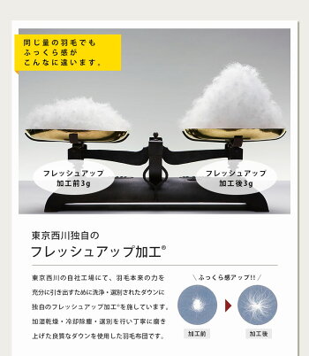 羽毛布団シングル西川ウクライナマザーグース東京西川ダウン93%増量1.2kgシングルロング150×210「CocoroNatureシリーズKazahana(かざはな)」掛け布団送料無料【Cocoroこころ】