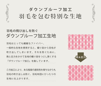 羽毛布団シングル西川ウクライナマザーグース東京西川ダウン93%増量1.2kgシングルロング150×210「CocoroNatureシリーズKazahana(かざはな)」掛け布団送料無料【Cocoroこころ】
