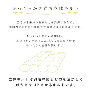 【初めての羽毛布団:選べるデザイン】羽毛布団シングルホワイトダックダウン90%1.0kgエクセルゴールドダウンパワー350dp以上パワーアップ加工おすすめラベル楽天日本製国産暖か掛け布団ロング送料無料秋冬本掛け【あす楽対応】