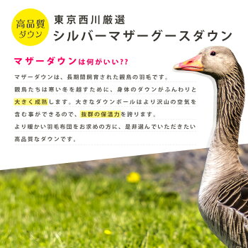 羽毛布団シングル西川ウクライナマザーグース東京西川ダウン93%増量1.2kgシングルロング150×210「CocoroNatureシリーズKazahana(かざはな)」掛け布団送料無料【Cocoroこころ】